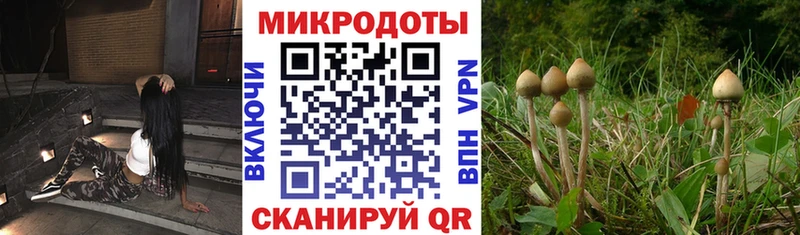 Галлюциногенные грибы мицелий  Заводоуковск 