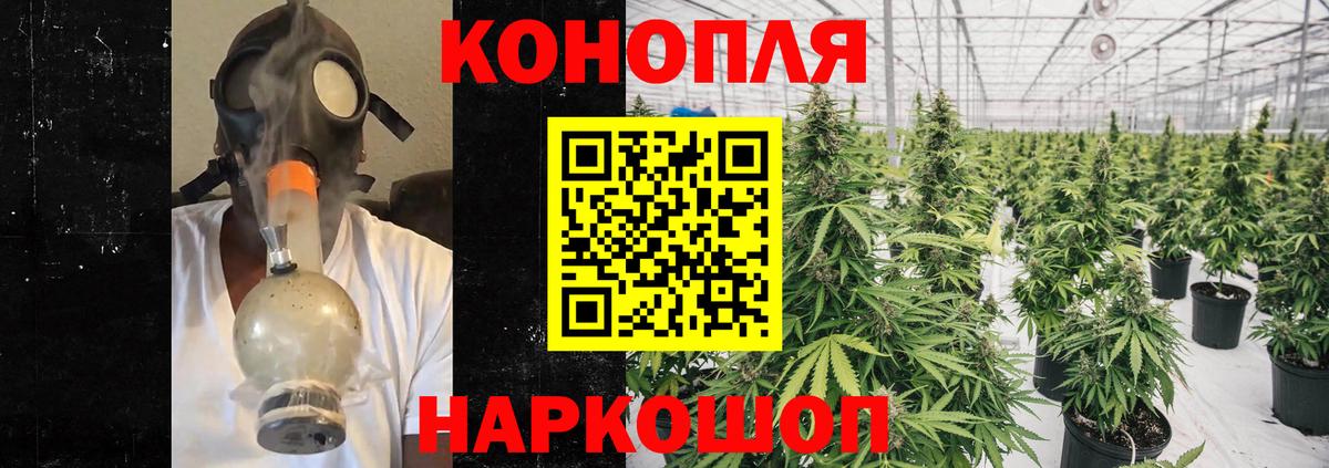 Канабис сатива Заводоуковск